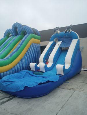 Dolphins water slide