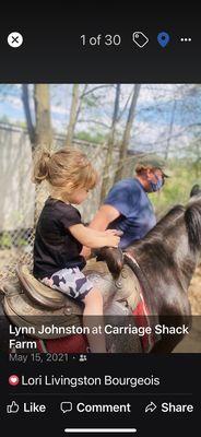 Pony rides