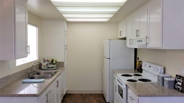 Large Renovated Kitchen