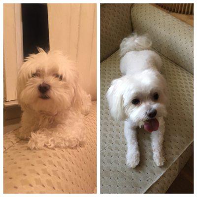 Abby's before and after!