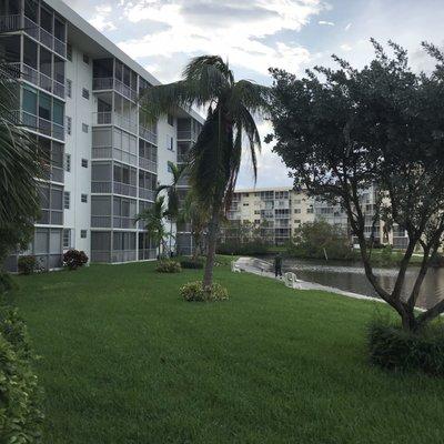 Back of T building. My dad planted that coconut tree back in 1999.