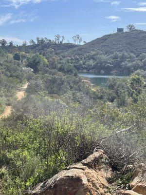 Pond view