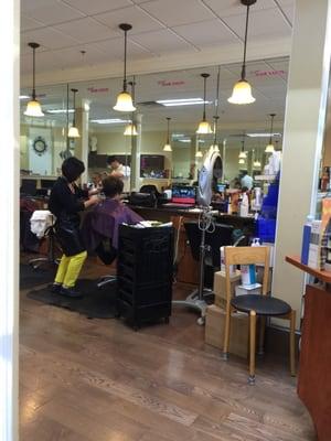 Venus Hair Salon