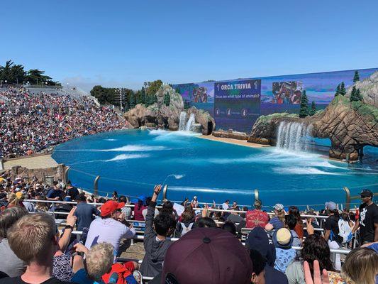 Shamu Show. What a beautiful day in San Diego