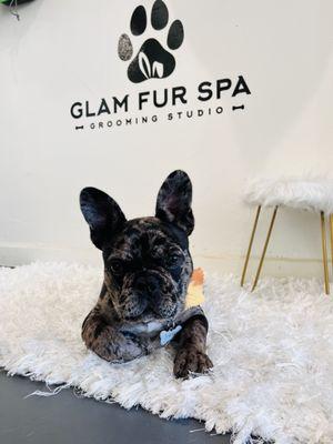 @glamfurspa  #neighbors #grooming