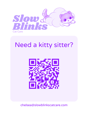 Slow Blinks flyer