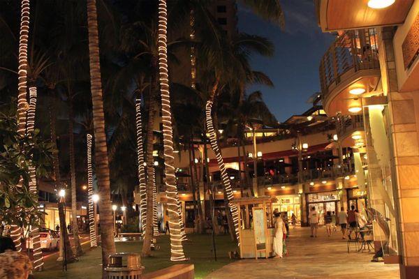 Now located at the Waikiki Beach Walk!