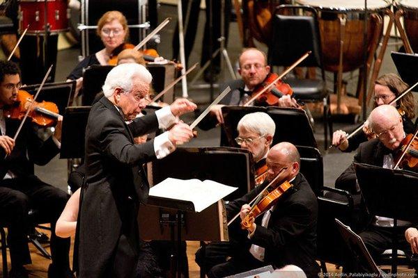 Music Director Barry Brisk leads the Orchestra