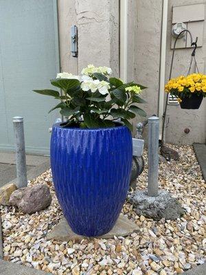 Even small spaces can look amazing with some rocks and a pretty pot.