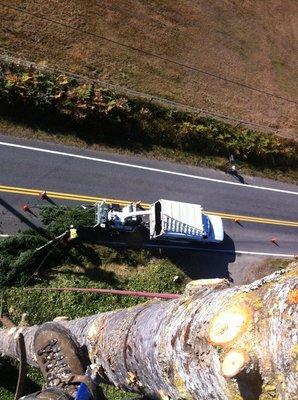 Pictured her is Conor atop a large fir tree. We shut down a lane of traffic to perform this removal. There is no job too large or technical.