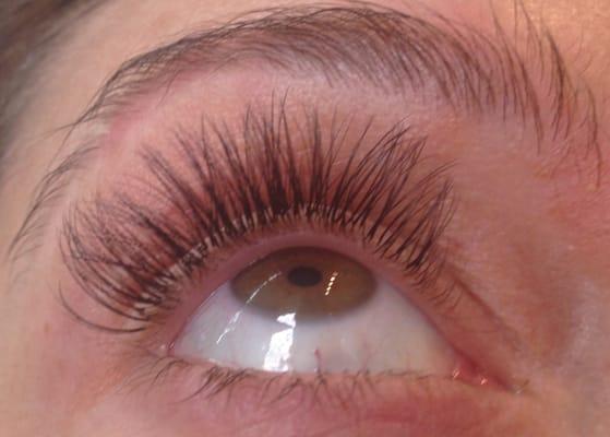 3d eyelash extensions