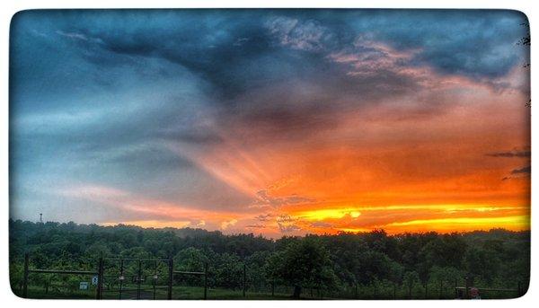 Sunset over the orchard