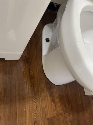 Bathroom cleaning after picture of bottom of toilet