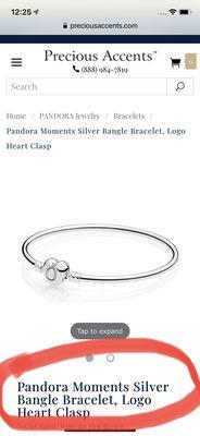 Pandora moments charm bangle I purchased