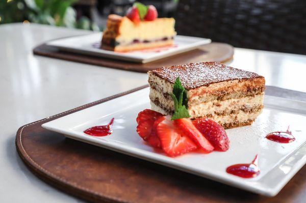 Tiramisu with mascarpone, lady finger, cocoa powder