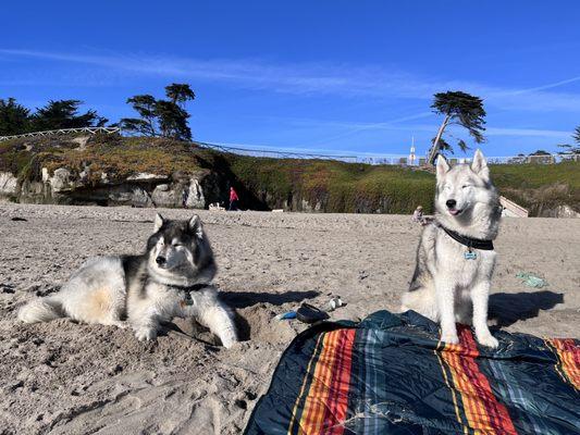 It's Beach:our favorite Dog Beach! Hee