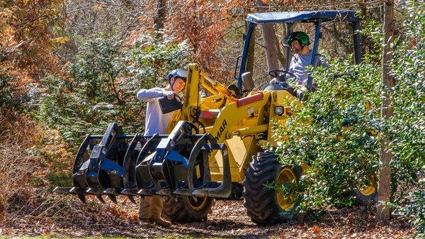 Freedom Tree Service