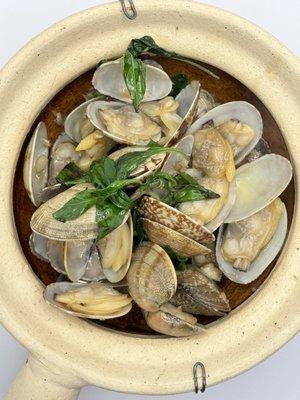 Basil clam