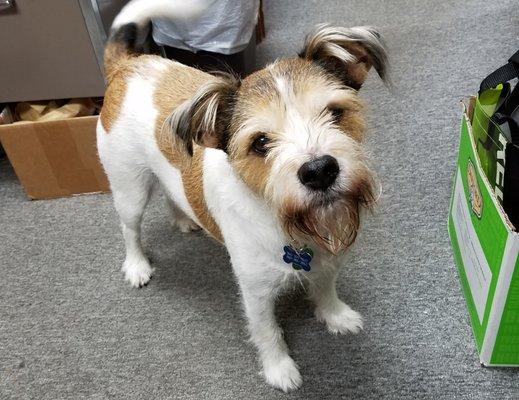 Marty is Pet Town's official greeter. Come in and say hello!