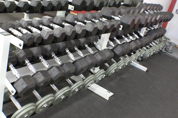 The Dumbbell Rack at Wolf Total Fitness