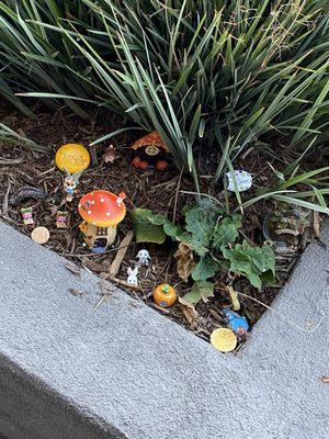 Fairy Garden