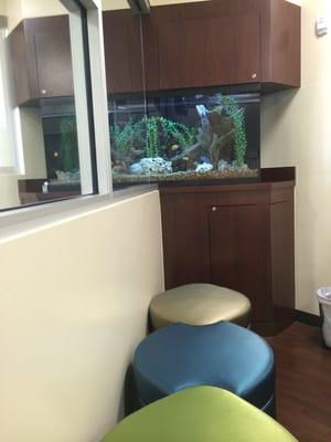 Waiting room fish tank