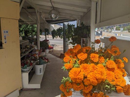 Twin Oaks Flowers