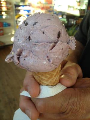 Maine blueberry ice cream