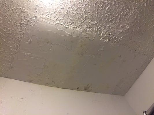 Moldy ceiling