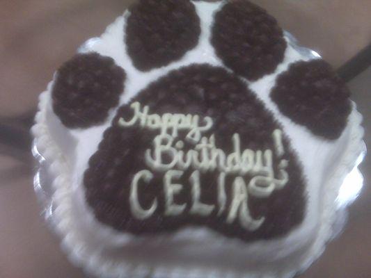 Paw print Cake