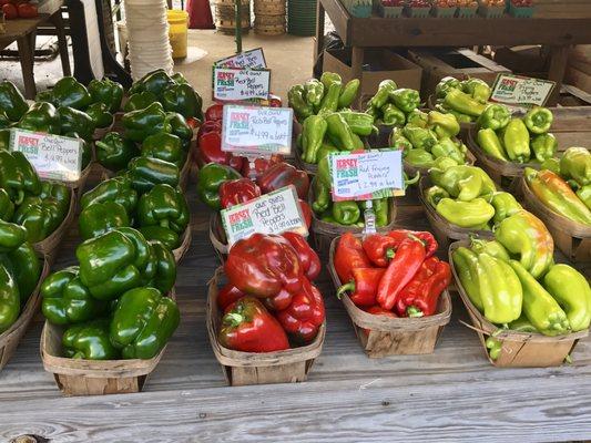 Fresh peppers