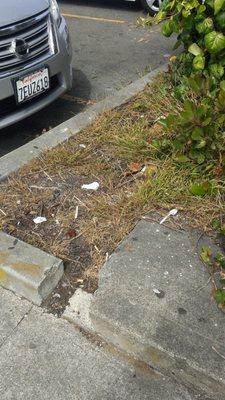 Filthy and trashy gas station.  Planters filled with trash and weeds.