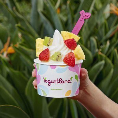 Yogurtland 