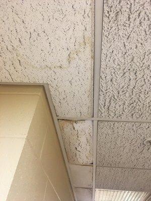 Ceiling tiles about to fall from water leak