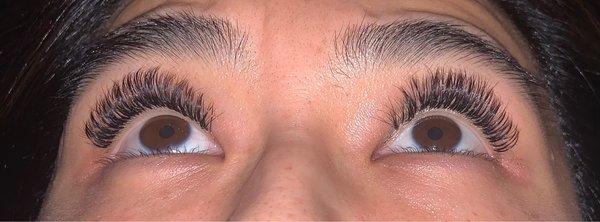 Longmi Lashes By Daniel