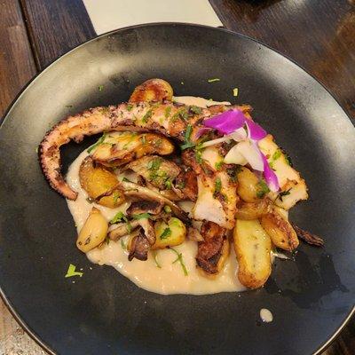 Grilled Octopus