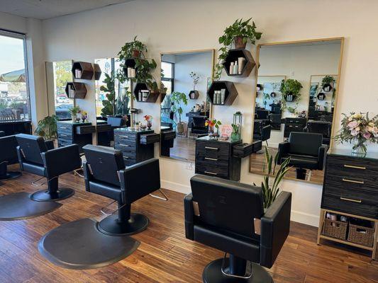 newly renovated salon!