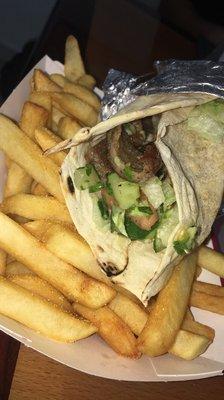 Beef/Lamb Shawarma and side of fries