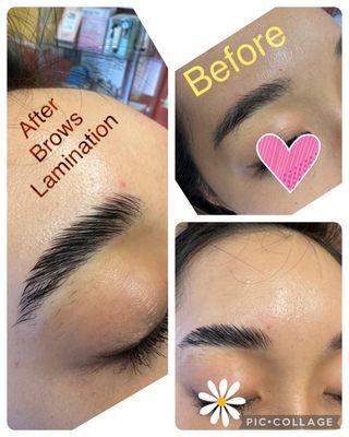 Brows Lamination