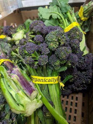 Purple vegetable season!