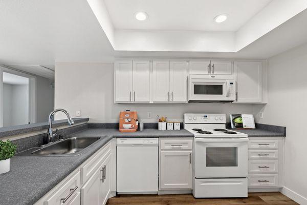 Fully remodel luxury kitchens