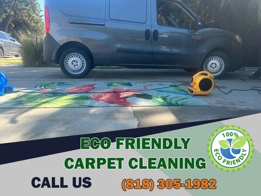 best carpet cleaning