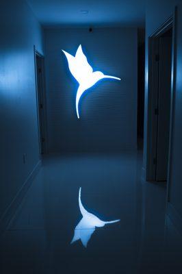 Cosmetica Med Spa - Hallway - Night