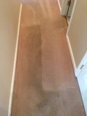 Residential carpet cleaning