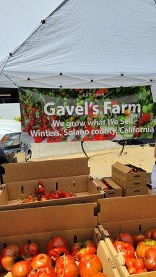 Gavel's Farm heirloom tomato booth