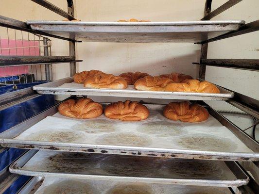 These croissants go by fast but there's plenty more