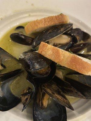 Mussels