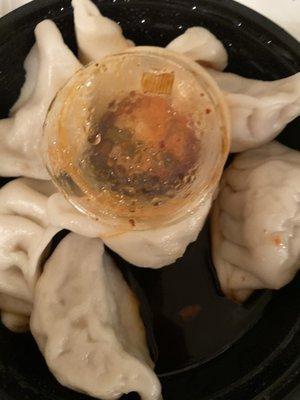 6. Steamed Dumplings