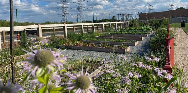 Ridge Hill Community Garden