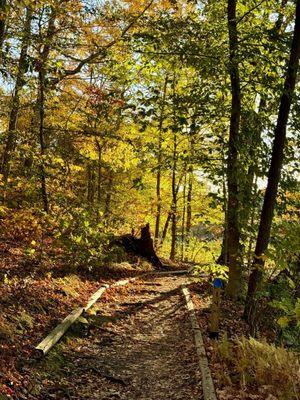 Little Leaf Preschool at Teatown Lake Reservation